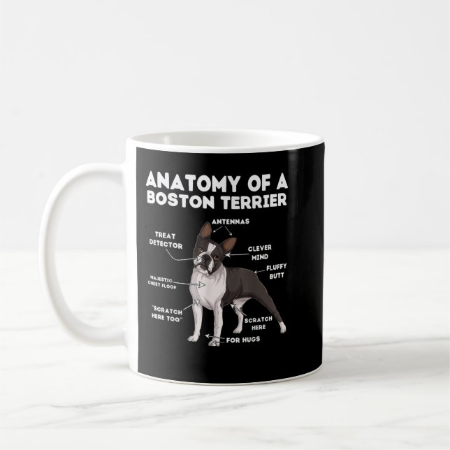 Anatomy of a Boston Terrier Kaffeetasse (Links)