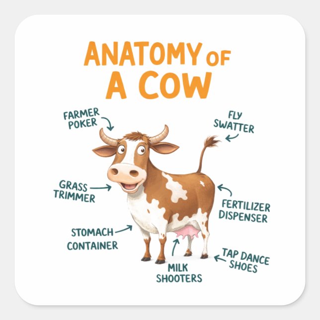 Anatomy of a Cow | Funny Doctor Day Quadratischer Aufkleber (Vorderseite)