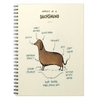 Anatomy Of A Dachshund Dachshund Dog Notizblock