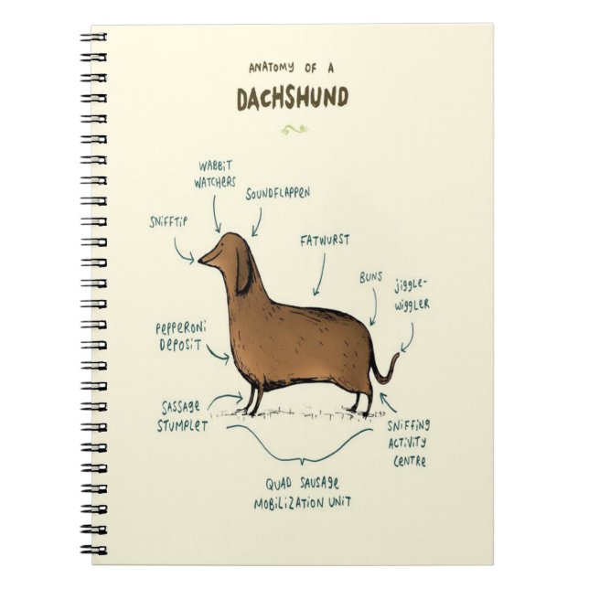 Anatomy Of A Dachshund Dachshund Dog Notizblock (Vorderseite)