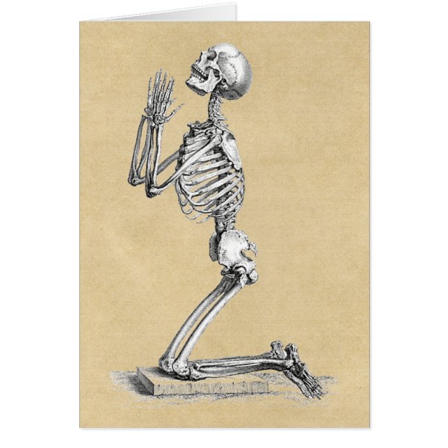 Anatomy Skeleton Illustration Grußkarten (Vorne)