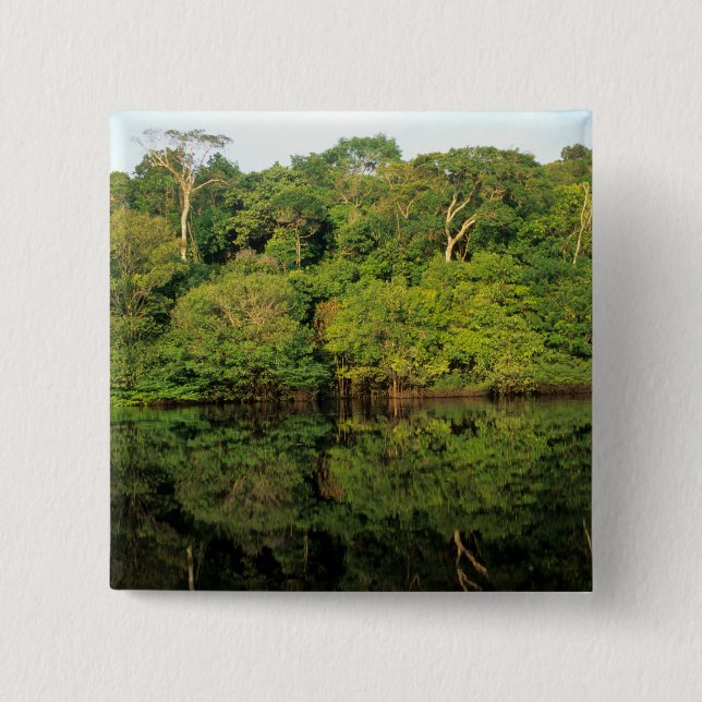Anavilhanas, Amazonas, Brasil. Regenwaldfluss Button (Vorderseite)