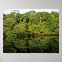 Anavilhanas, Amazonas, Brasilien. Rainforest River