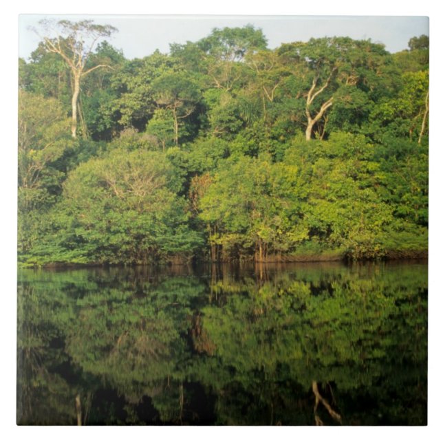 Anavilhanas, Amazonas, Brasilien. Regenwald Fliese (Vorderseite)