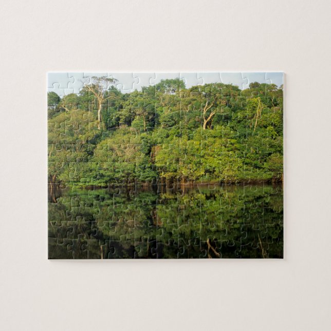 Anavilhanas, Amazonas, Brasilien. Regenwald Puzzle (Horizontal)