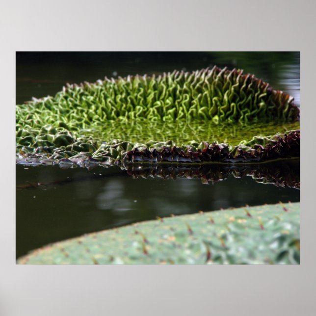 Anbaupolster Poster (Vorne)