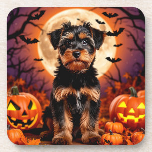 Anbetungswürdiger Welpe mit Halloween-Hintergrund Getränkeuntersetzer