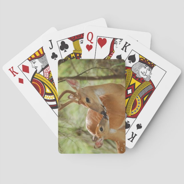 Anbinden von Kleinvieh Spielkarten (Rückseite)