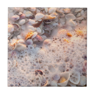 Anbrandende Brandung und Muscheln auf Sanibel Isla Fliese