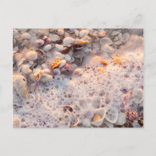 Anbrandende Wellen und Muscheln auf Sanibel Island Postkarte