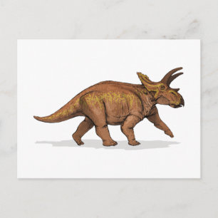 Anchiceratops Dinosaurier Postkarte
