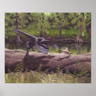 Anchiornis Print Poster