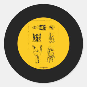 Anchisaurus und Ammosaurus Runder Aufkleber