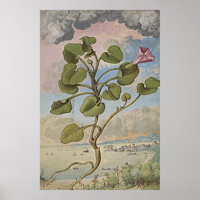 Ancient Botanical Art Coastal Bindung Poster (Vorne)