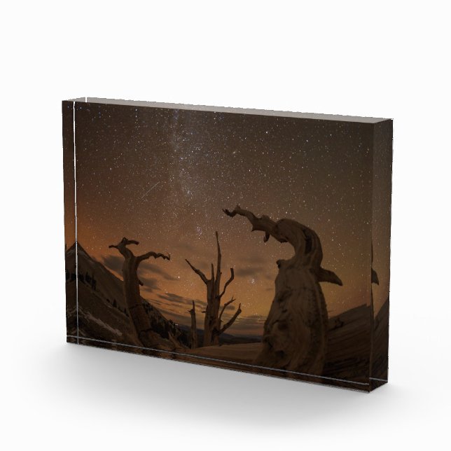 Ancient Bristlecone Pine Forest | Kalifornien Fotoblock (Rechts)