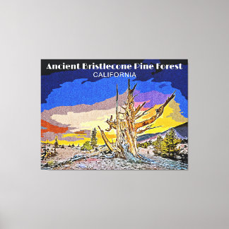 Ancient Bristlecone Pine Forest, Kalifornien Leinwanddruck