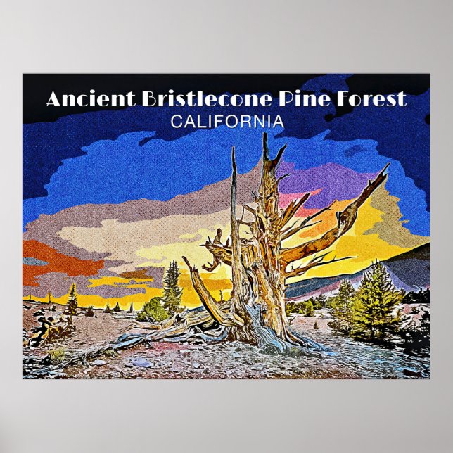 Ancient Bristlecone Pine Forest, Kalifornien Poster (Vorne)