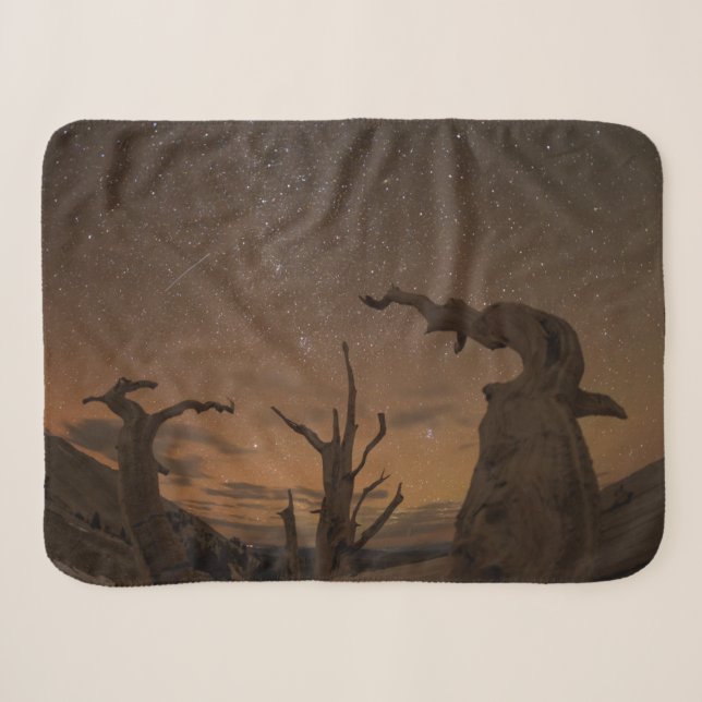 Ancient Bristlecone Pine Forest | Kalifornien Sherpadecke (Vorderseite (Horizontal))