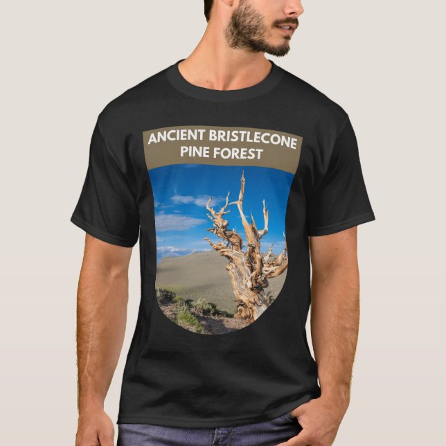 Ancient Bristlecone Pine Forest - Kalifornien T-Shirt (Vorderseite)