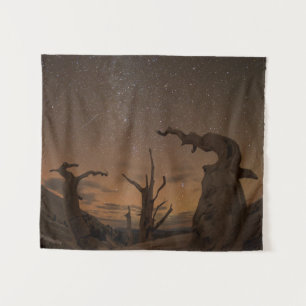 Ancient Bristlecone Pine Forest   Kalifornien Wandteppich