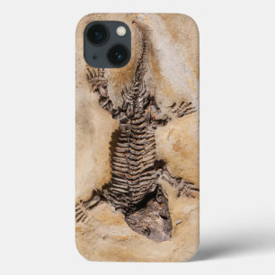 Ancient Dinosaur Fossil in Stone Case-Mate iPhone Hülle