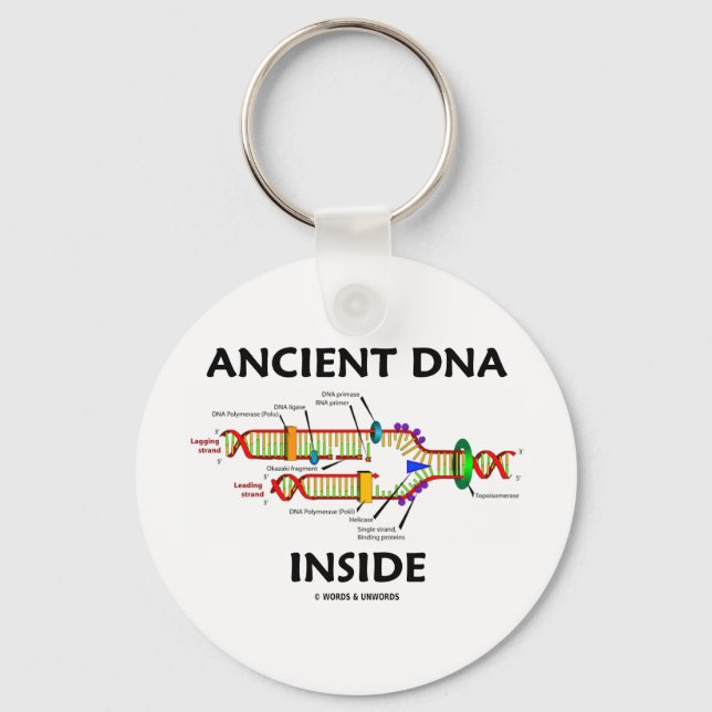 Ancient DNA Inside (DNA Replication Spaß) Schlüsselanhänger (Vorderseite)