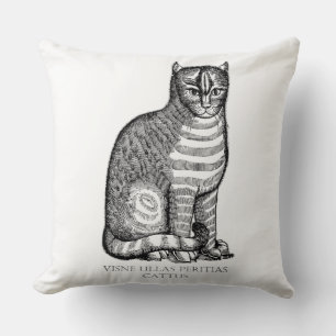 Ancient Fuzzy Cat Throw Kissen Kissen