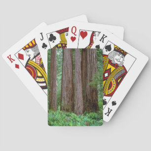 Ancient Redwoods Towering Spielkarten