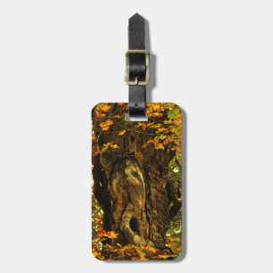 Ancient Tree Luggage Tag Gepäckanhänger