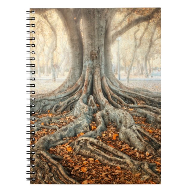 Ancient Tree Roots Notizblock (Vorderseite)