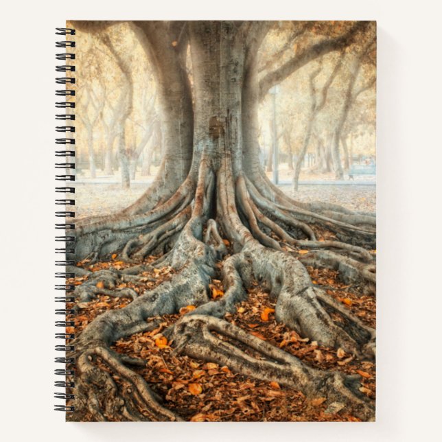 Ancient Tree Roots Notizbuch (Vorderseite)