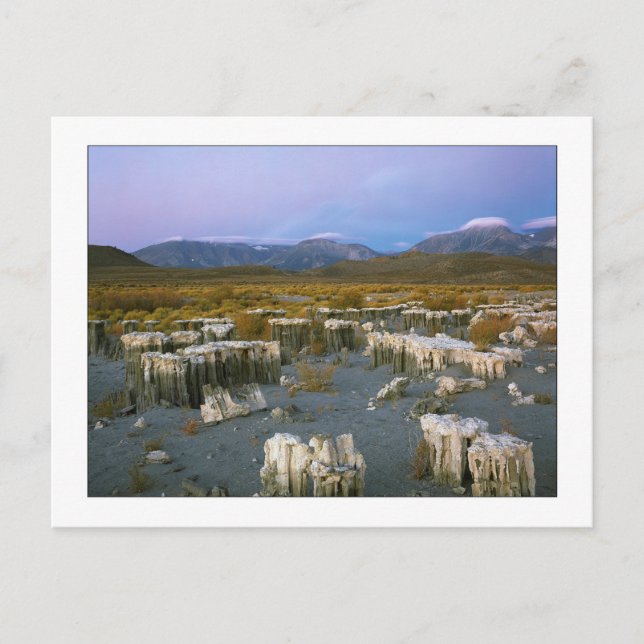 "Ancient Watermark" Postkarte (Vorderseite)