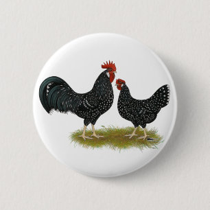Ancona Chickens Button