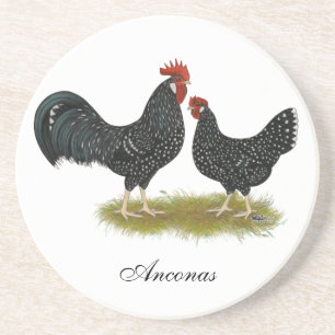 Ancona Chickens Untersetzer