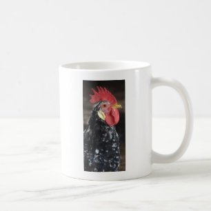 Ancona Roo Tasse