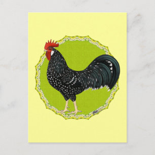 Ancona Rooster Postkarte