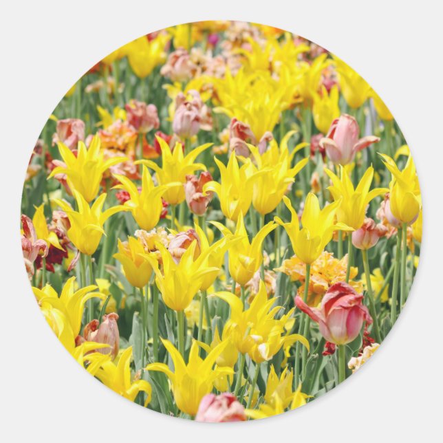 And Life Goes On  Runder Aufkleber (Vorderseite)