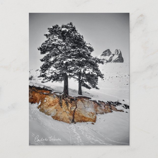 And Yet it Grows Postkarte (Vorderseite)