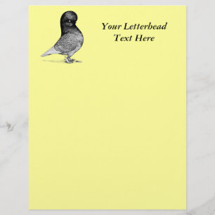 Andalusian Tumbler Pigeon