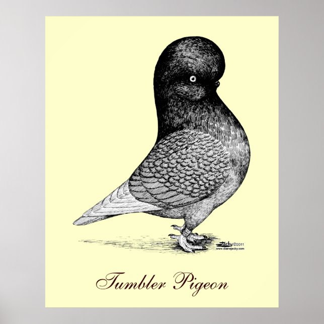 Andalusian Tumbler Poster (Vorne)