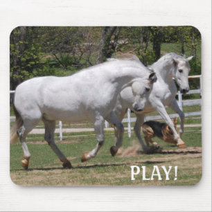 ANDALUSIANS-SPIEL! MAUSUNTERLAGE MOUSEPAD