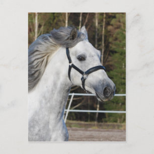 Andalusien 1 postkarte