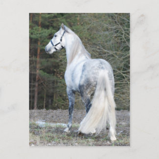 Andalusien 2 postkarte