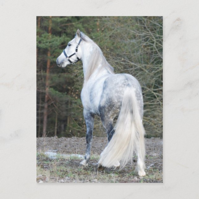 Andalusien 2 postkarte (Vorderseite)