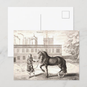 Andalusien - Das Vintage Reiten Postkarte