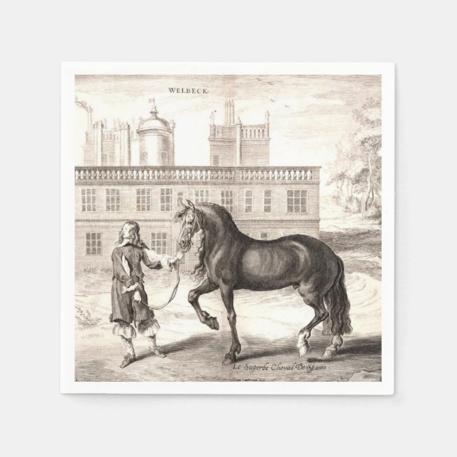Andalusien - Das Vintage Reiten Serviette (Vorderseite)