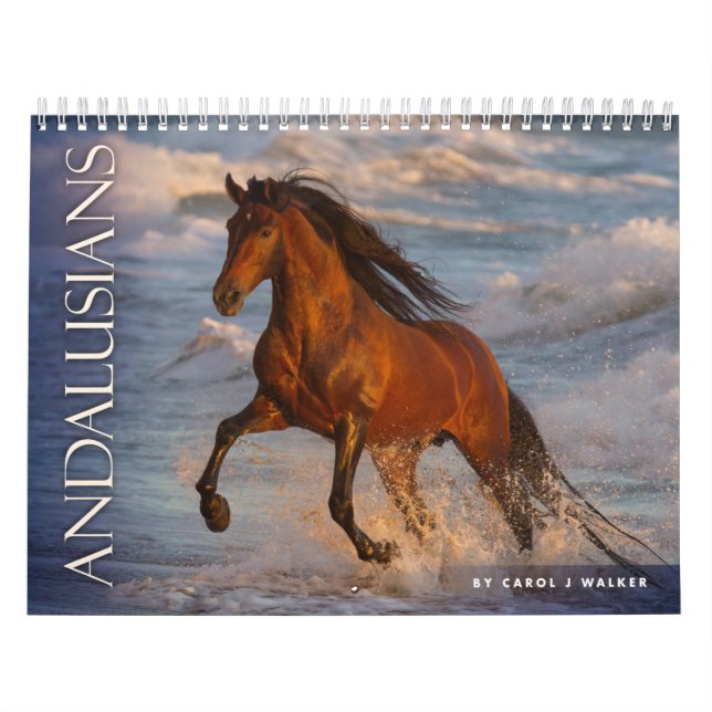 Andalusier von Carol J. Walker Horst Calendar Kalender (Titelbild)