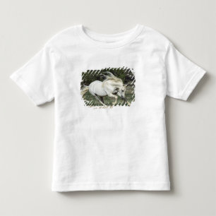 Andalusischer Hengst läuft, PR Kleinkind T-shirt