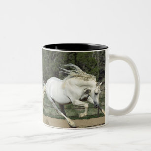 Andalusischer Hengst läuft, PR Zweifarbige Tasse