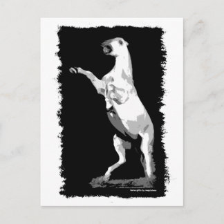 Andalusischer Hengst Postkarte